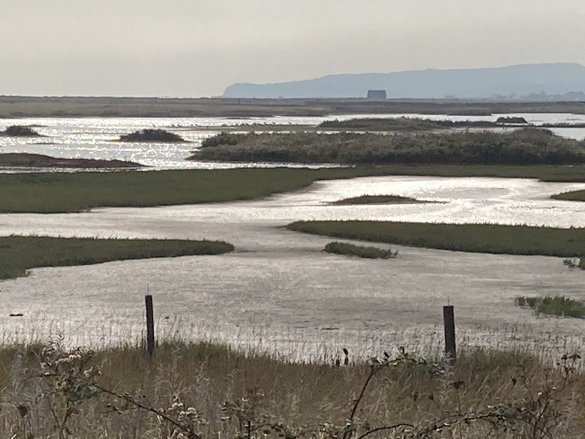 Visiting @wildlifetor and @SussexWildlife today at the wonderful new Rye Harbour Discovery Centre @ryeharbour_NR - plenty of good practice here that @sdnpa can apply at Seven Sisters Country Park