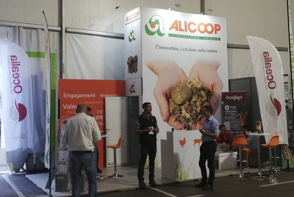 OcealiaGroupe's tweet photo. 📆Le Concours National Limousin est ouvert depuis ce matin à #Limoges. 
👉Venez rencontrer notre équipe sur notre stand à côté du ring. Nous vous donnons rendez-vous jusqu’à dimanche.
#CNL https://t.co/hXvmxnLmrS