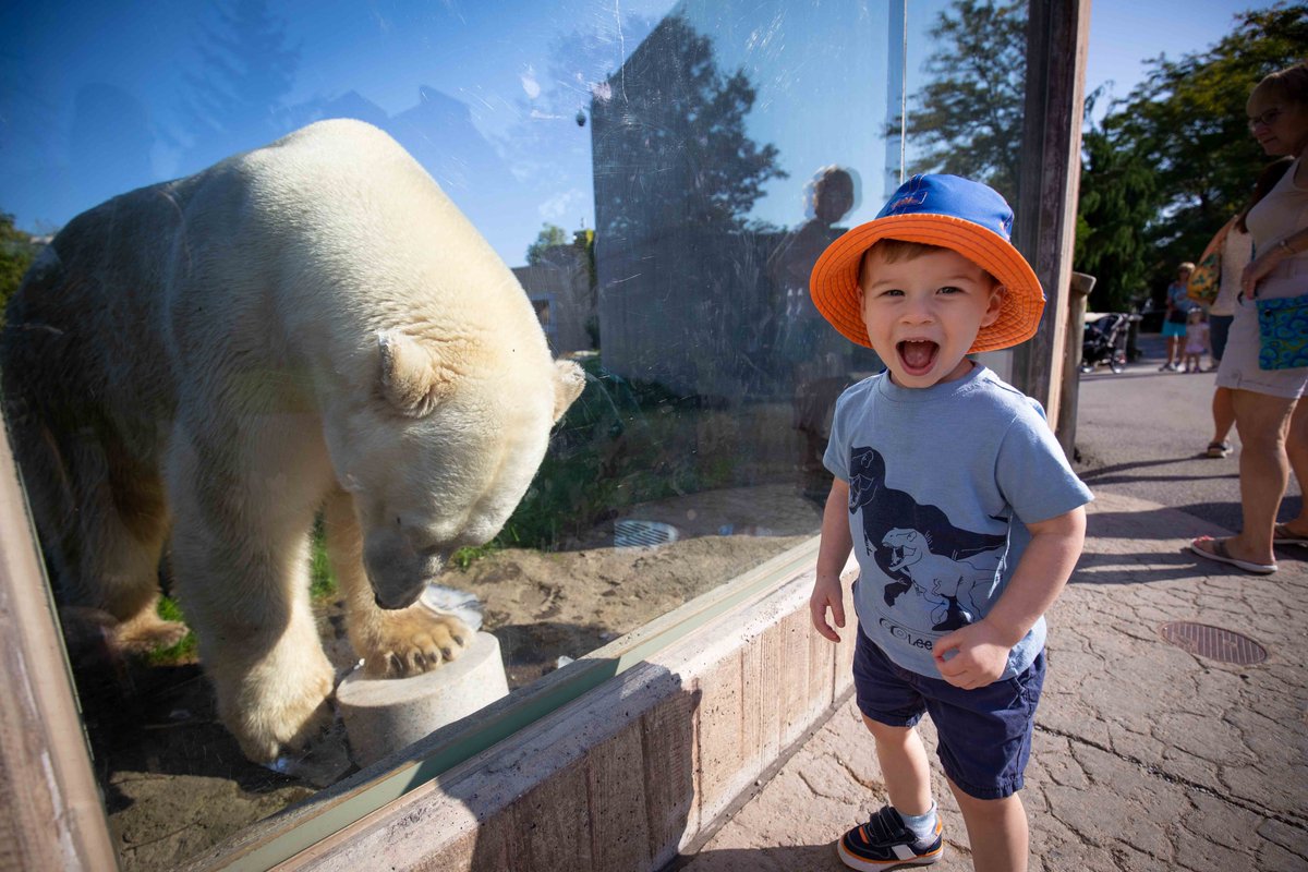 Bears and Bucket Hats! 

#polarbears #buckethats #visitthezoo #weekendvibes #smiles