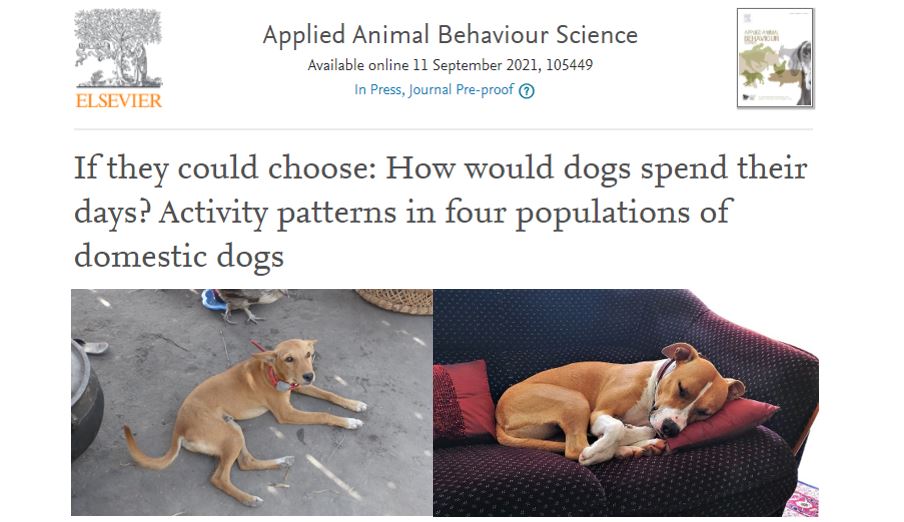 Ever wondered whether our pet dogs are more or less active than their free-roaming counterparts? Find the answer in our paper investigating activity patterns in dog populations from 3 continents. With Silja Griss, Salome Dürr, Charlotte Warembourg et al. sciencedirect.com/science/articl…