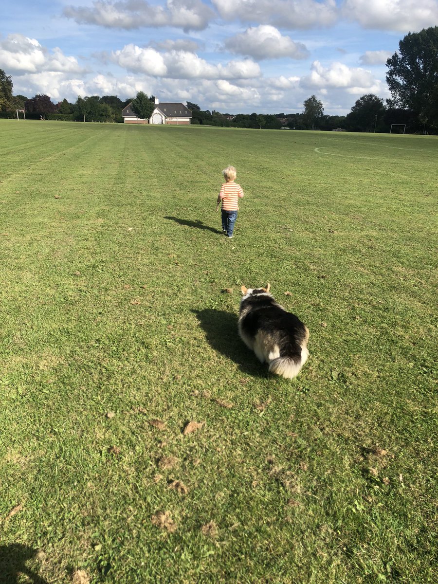MrsFireHawk's tweet image. When you find a stick and have to lead on to battle! #minihawk #toddler @HouseFirehawk