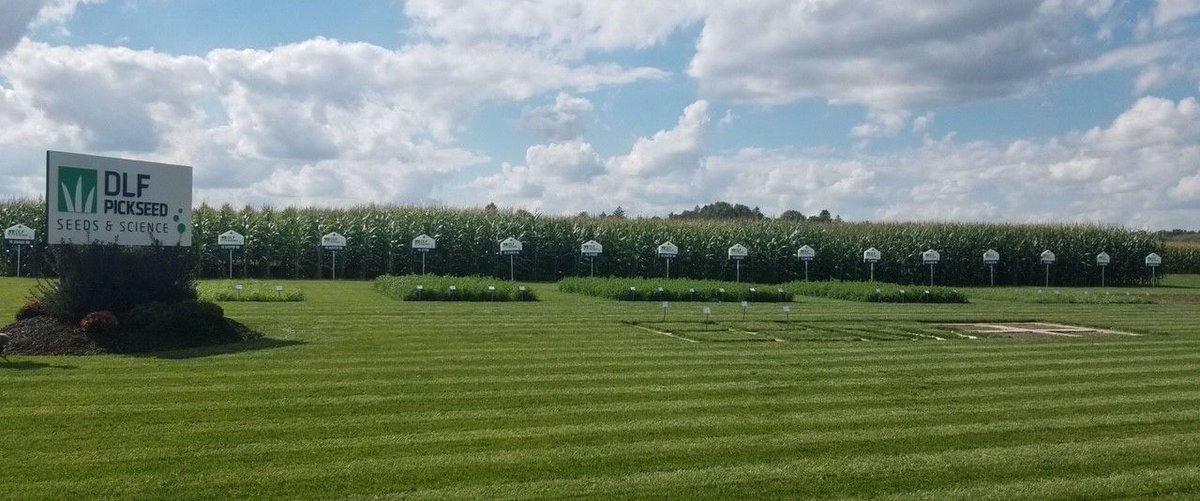 DLFCAN's tweet photo. We are excited to be a part of #CropStop September 23-24 at the @outdoorfarmshow site in Woodstock, ON. 🌽🌱
Come see our current products as well as some exciting experimental hybrids we are testing to add to our line-up!
Learn more here 👉 https://t.co/AE3Kyy8Vl5 https://t.co/Bx2yDYJwwO