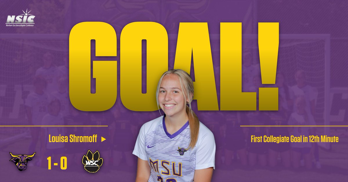 Minnesota State Soccer tweet media