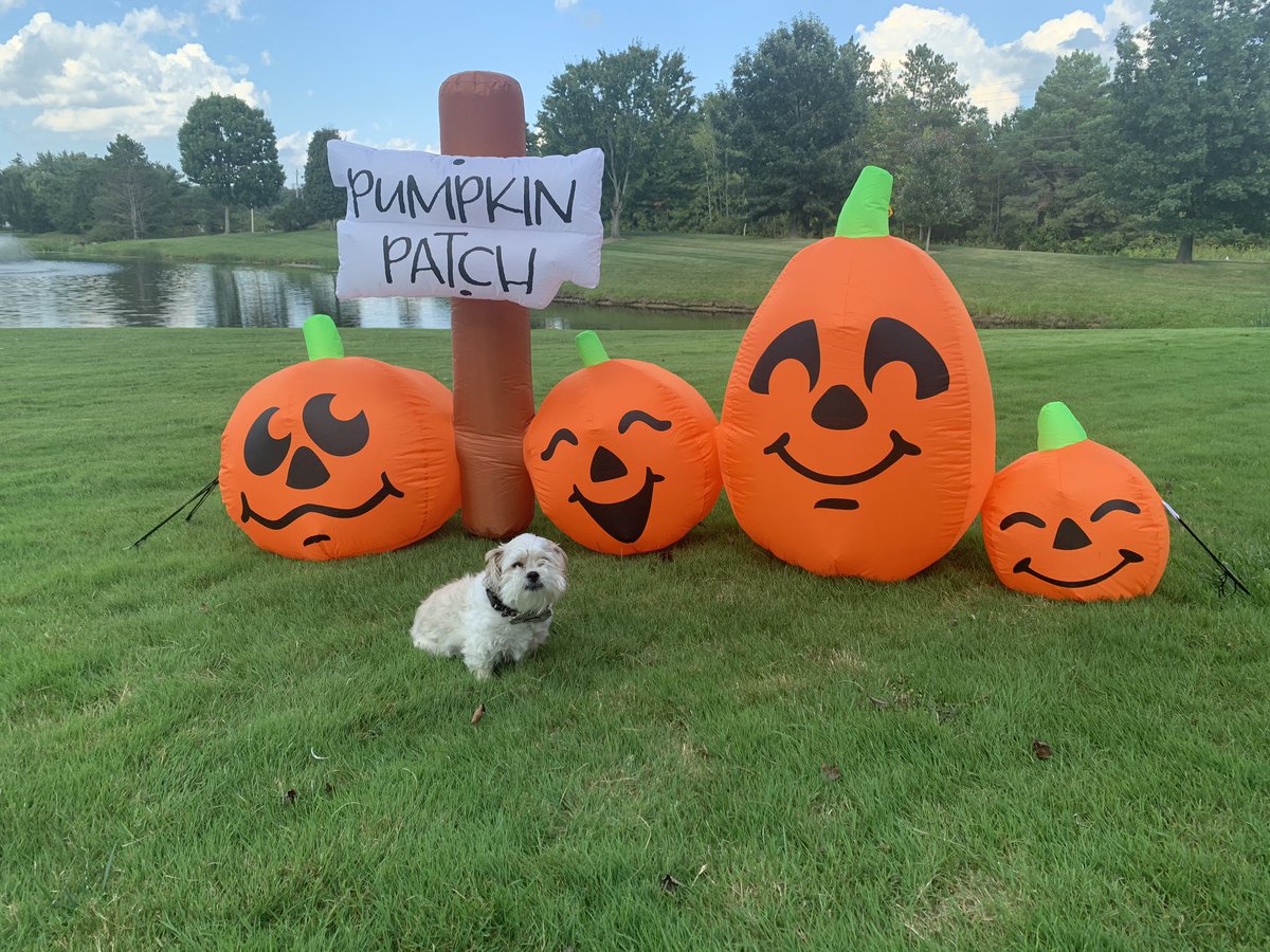 Something spooky is in the mix …