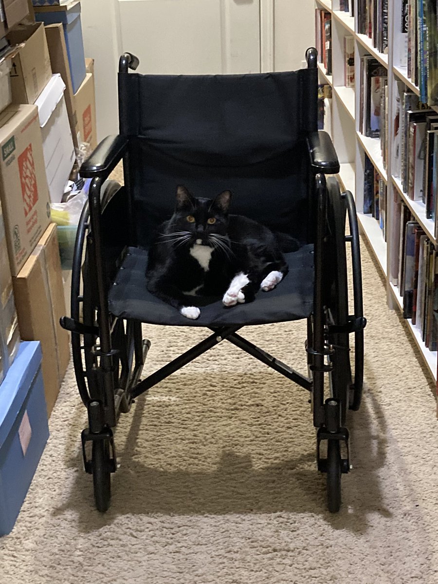 Frances observed that Moonrise understands just what a wheelchair is for.