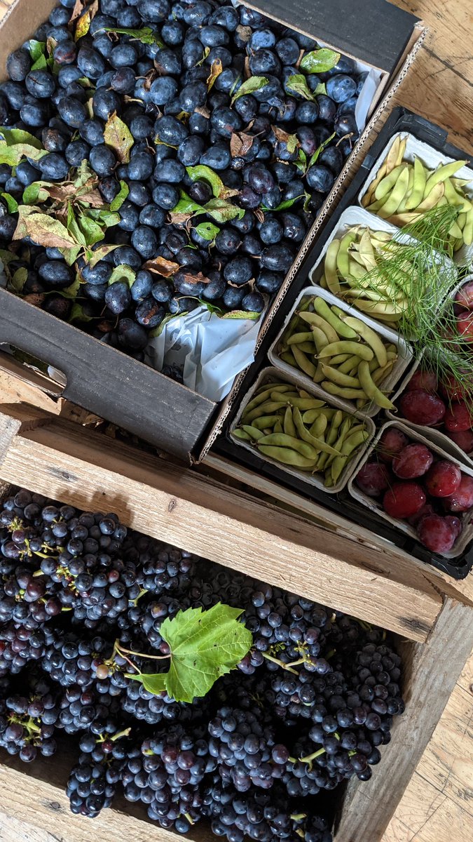 Florence Road Market tweet media