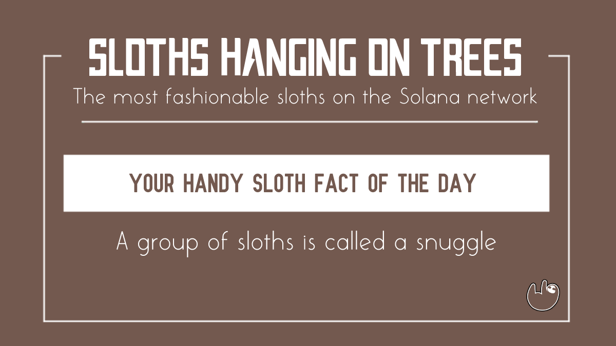 SlothsHangingOT's tweet photo. As if sloths weren't already the cutest thing ever, this fact will brighten your day! Come snuggle with us on on discord?🥺
#NFTCommunity #SolanaNFT https://t.co/UsLidZc63f