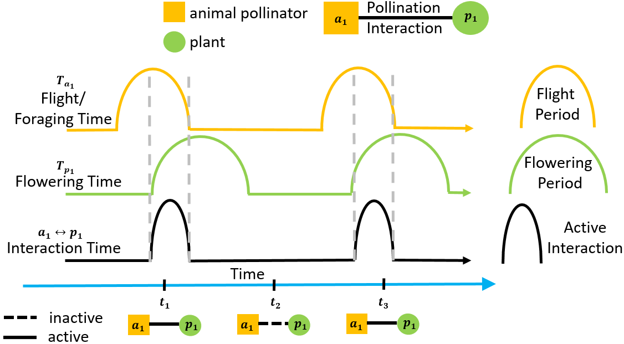 Fernanda S. Valdovinos (she,her,hers) (@fevaldovinos) on Twitter photo Testing predictions of network models with pollen data from Michigan and the UK, show that "Phenology and flowering overlap drive specialisation in plant–pollinator networks". I'm so happy to see this very rewarding work published <a href="/Ecology_Letters/">Ecology Letters</a>
onlinelibrary.wiley.com/doi/10.1111/el… Testing predictions of network models with pollen data from Michigan and the UK, show that "Phenology and flowering overlap drive specialisation in plant–pollinator networks". I'm so happy to see this very rewarding work published <a href="/Ecology_Letters/">Ecology Letters</a>
onlinelibrary.wiley.com/doi/10.1111/el…