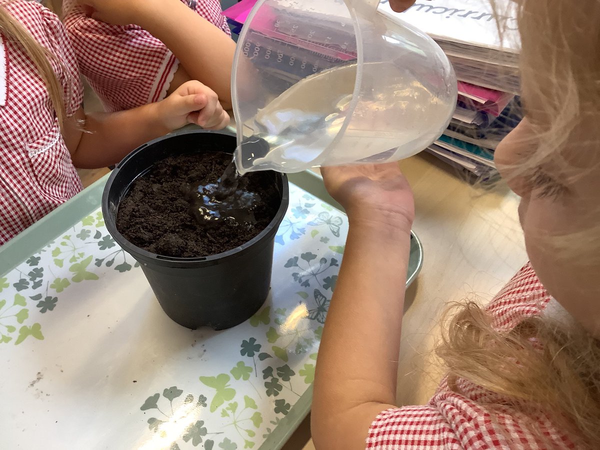 Kezia Wareham tweet media