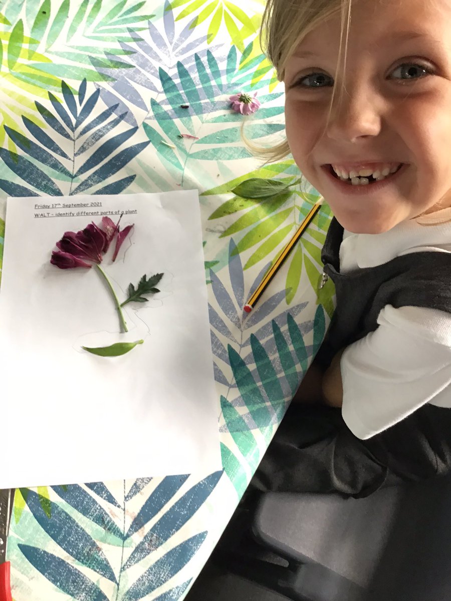 Kezia Wareham tweet media