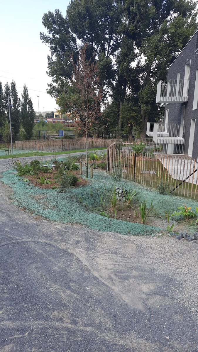 Aws Hydroseeding tweet media