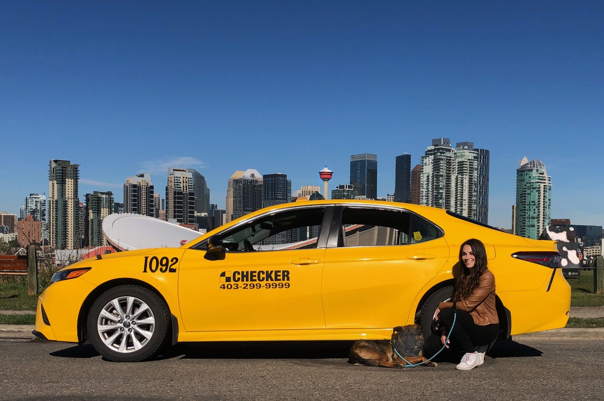 CheckerYYC's tweet image. Thumper is ready for a ride in a Checker. All you need is your kennel or crate for our pet friendly Checkers. Give dispatch a call to arrange 403-299-9999 #choosechecker #supportyyc.