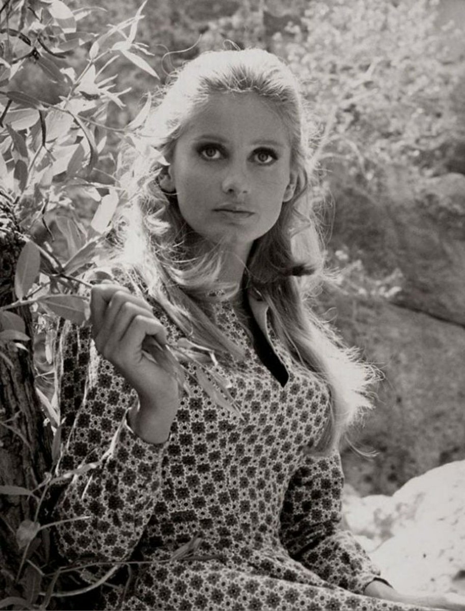 Jill Ireland c1960pic.twitter.com/29rLqujpui.