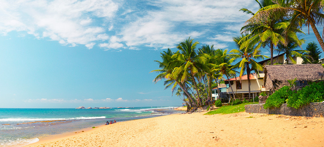 reddotsrilanka tweet media