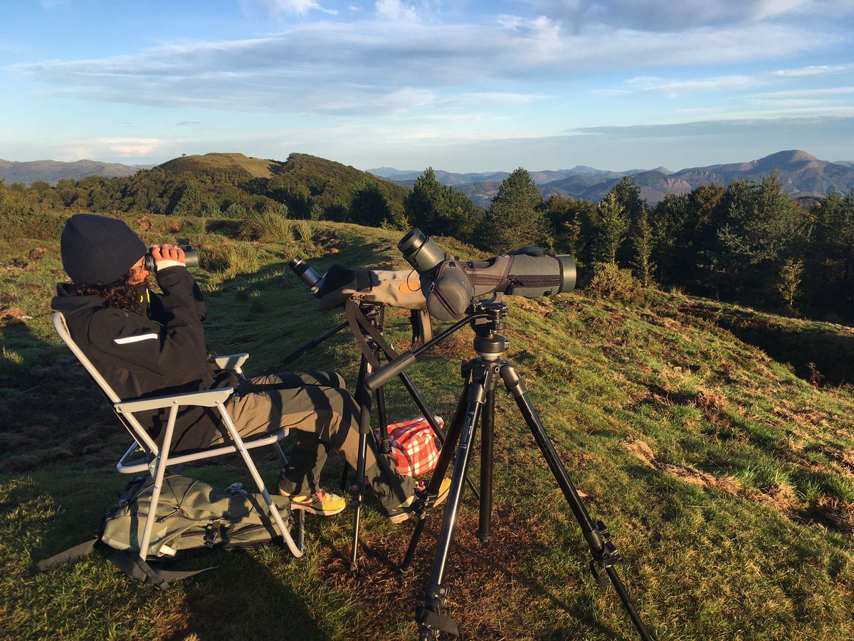 Continuamos con el estudio de la #migración postnupcial de las #aves desde el collado de Lindus. Un septiembre mayormente  anticiclónico y con viento sur que tornará a norte desde hoy. Llega el otoño. @GanNavarra <a href="/auritz_burguete/">𝕽𝔦𝔫𝔠𝔬𝔫𝔢𝔰 𝔡𝔢𝔩 𝔓𝔦𝔯𝔦𝔫𝔢𝔬</a> <a href="/opcc_ctp/">OPCC</a> <a href="/Naturclima/">Naturclima</a> <a href="/LPOAk/">LPO Aquitaine</a> <a href="/SEO_BirdLife/">SEO/BirdLife</a>