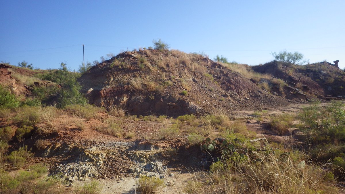 RebeccaAKoll's tweet image. Do you take before &amp;amp; after photos of your field collection holes and force your family/friends to look at HOW MUCH EARTH YOU MOVED or are you normal? #paleobotany #fieldworkWIN