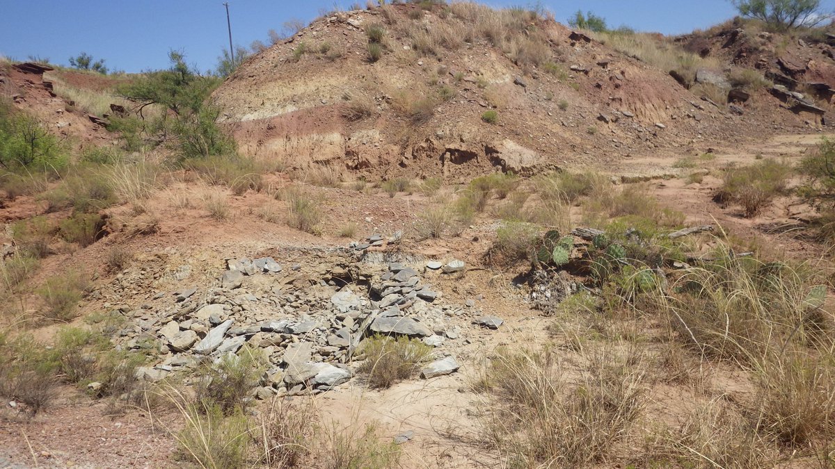 RebeccaAKoll's tweet image. Do you take before &amp;amp; after photos of your field collection holes and force your family/friends to look at HOW MUCH EARTH YOU MOVED or are you normal? #paleobotany #fieldworkWIN