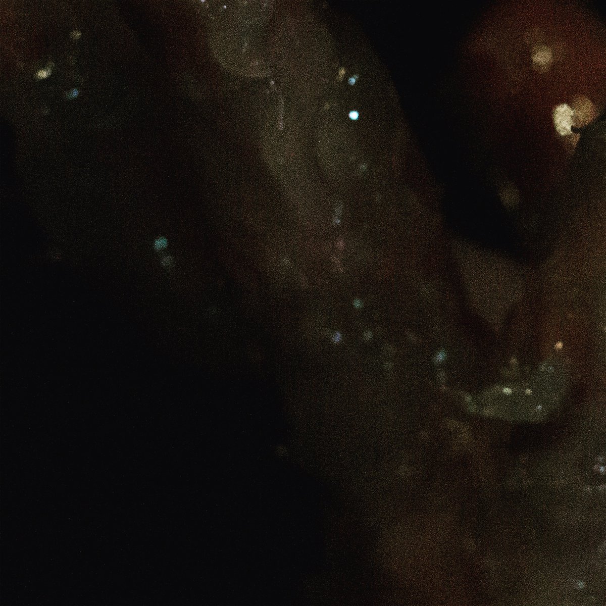 Our latest track Vaseline is now live on all streaming services