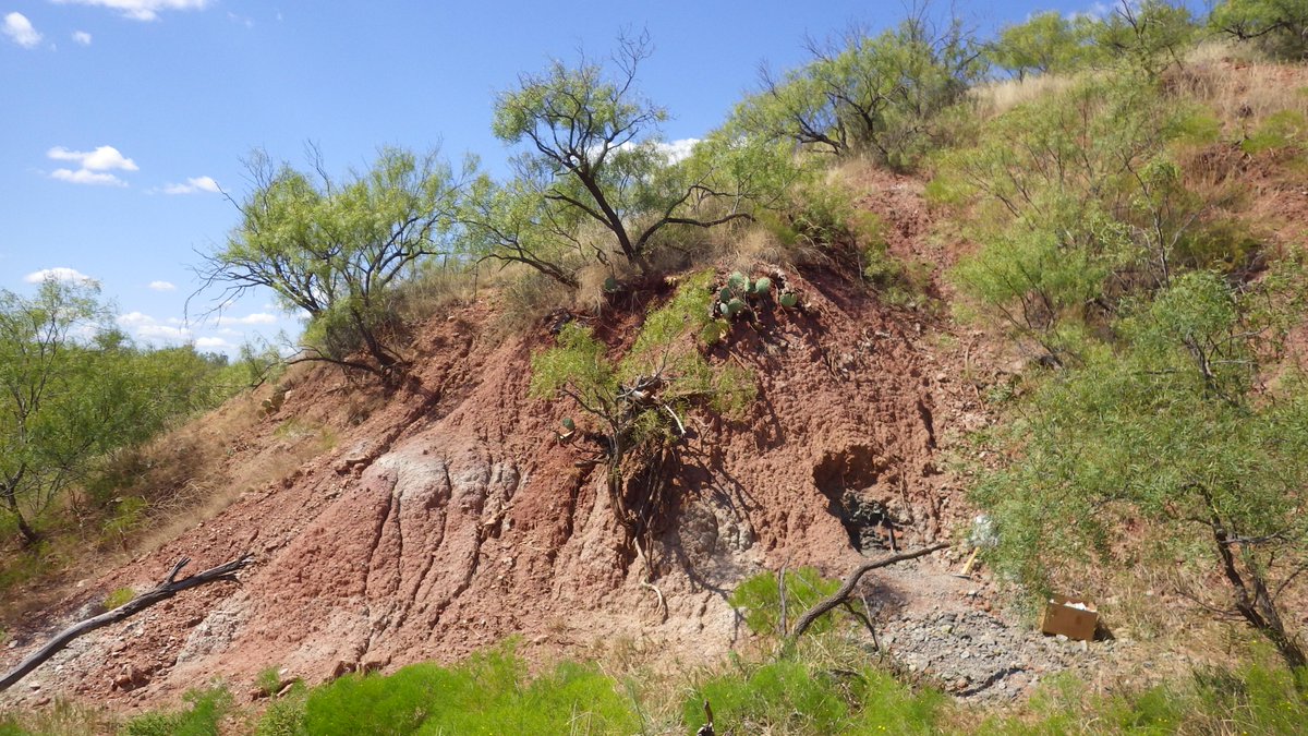 RebeccaAKoll's tweet image. Do you take before &amp;amp; after photos of your field collection holes and force your family/friends to look at HOW MUCH EARTH YOU MOVED or are you normal? #paleobotany #fieldworkWIN