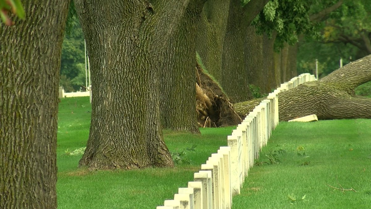 STORM DAMAGE: The impact of the overnight severe weather included downed trees at Ft. Snelling National Cemetery in Minneapolis. 

Latest on severe weather damage: https://t.co/r35ggVBEtA https://t.co/qKueD09Sd5