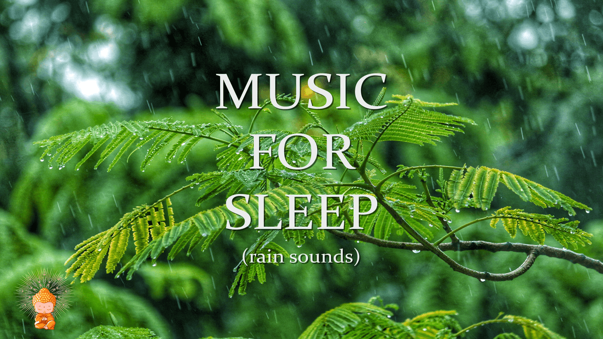 CloseYourEyesM's tweet image. Sound For Sleeping ❘ Rain Music For Sleeping ❘ Rain Music ❘ Rain Sounds ... youtu.be/lD5A0r4OA8E via @YouTube 
#SoundForSleeping #RainMusicForSleeping #RainMusic #RainSoundsForSleeping