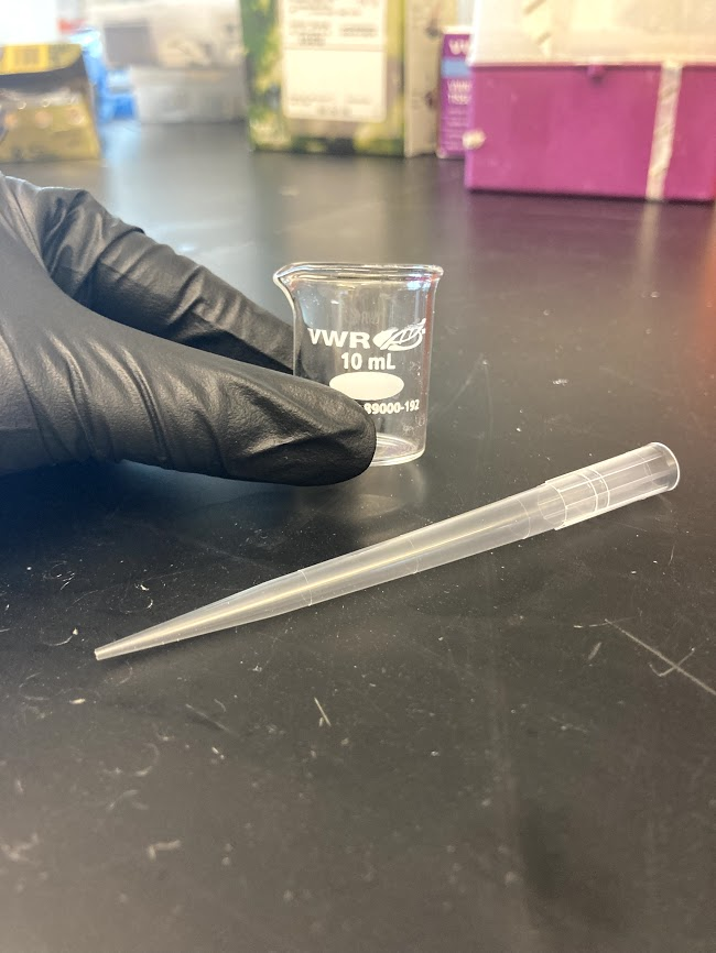 EB_Rousseau's tweet photo. Instead of my thesis I'm just going to submit pictures of this teeny tiny beaker (P1000 tip for scale) #phdchat https://t.co/7IvAnpCA7D
