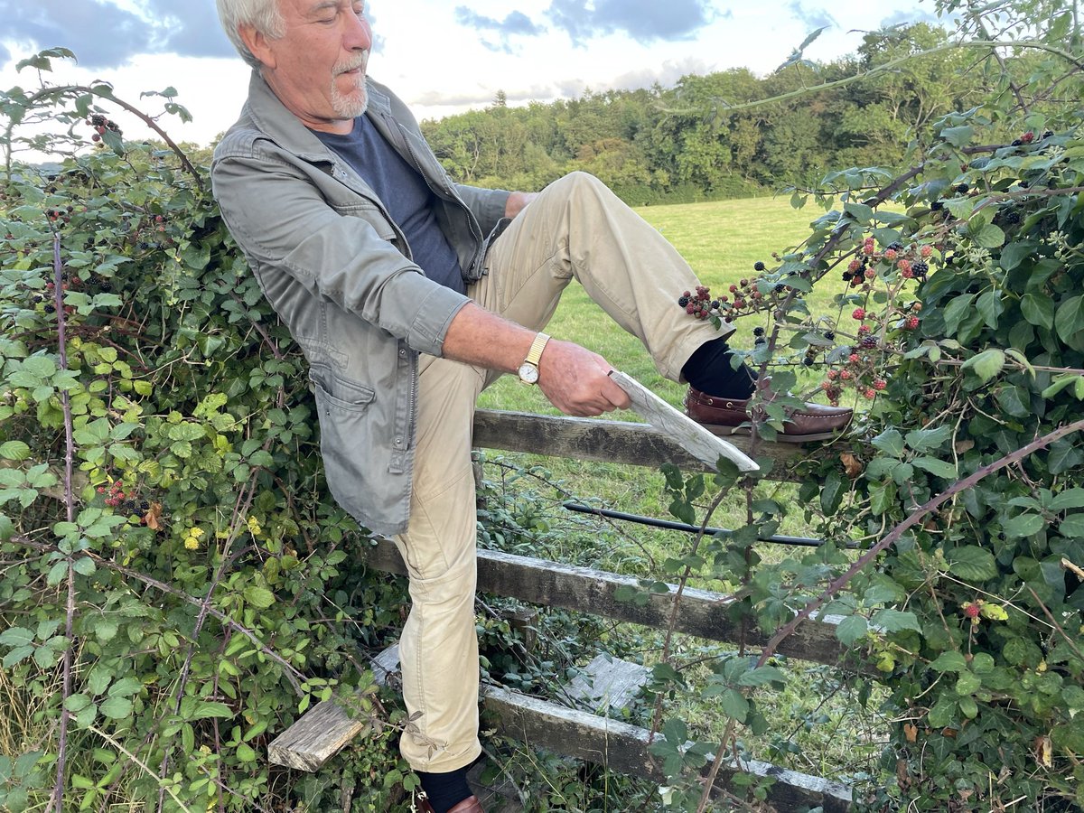 vickybanham's tweet image. Tackled part of the East Deane Way today - broken stiles, brambles, beef cows, missing signs 🙁😔 #walking #prows @TravelSomerset @SomersetCouncil