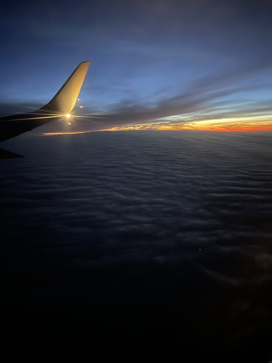 Sergei Skiba (@s_skiba1) on Twitter photo 