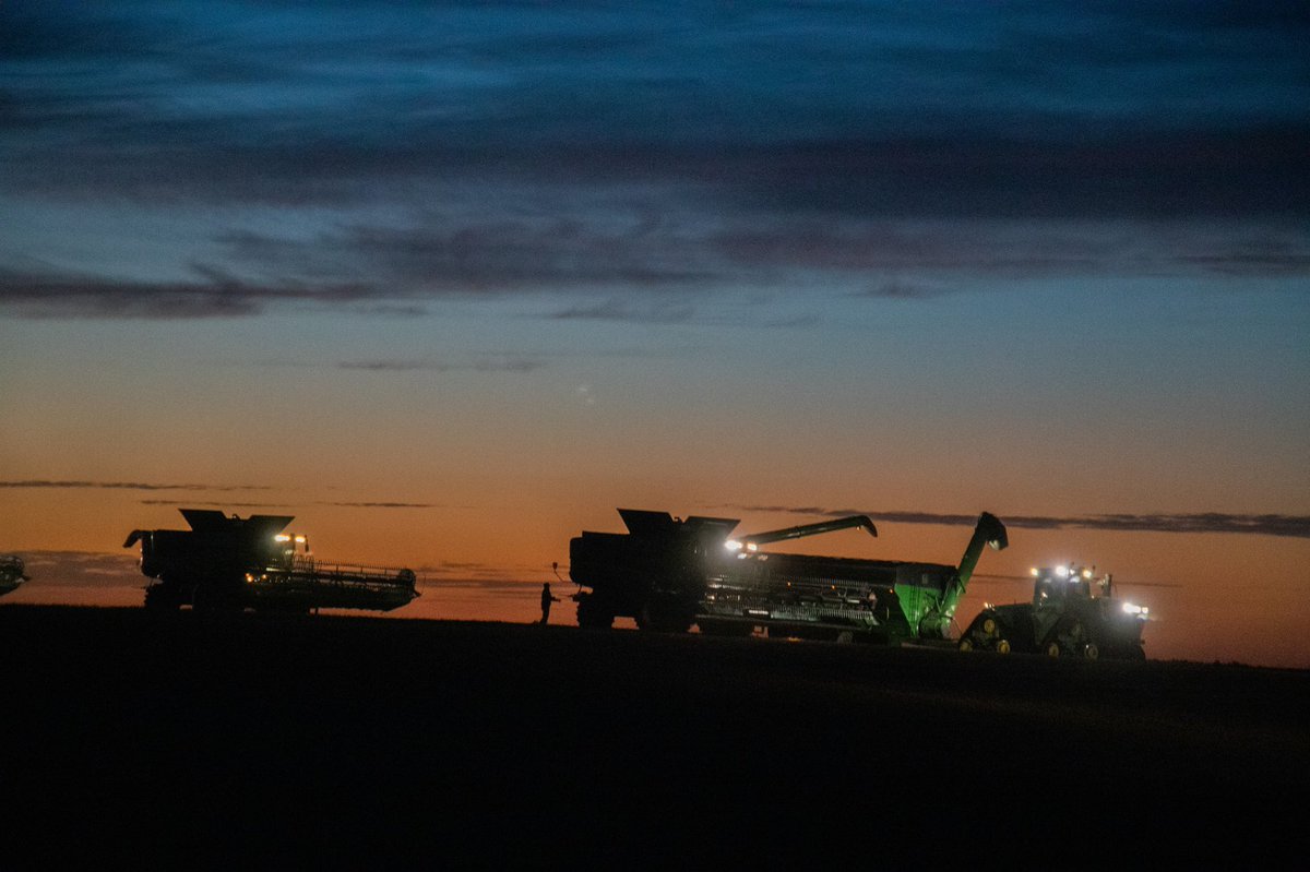 LindgrenSeeds's tweet photo. Those Harvest Sunsets
@lindgrenfarms1
#Harvest2021 #SaskSunsets #HarvestSunsets https://t.co/oJdHK3As9j