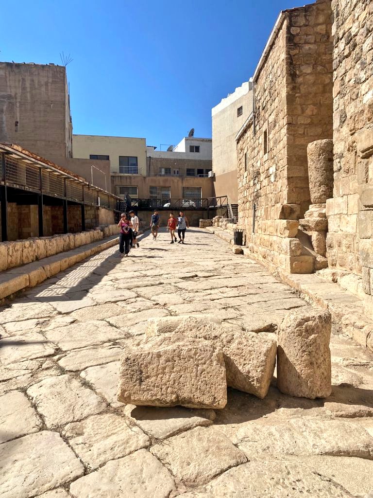 KarimanMango's tweet photo. #romanroadsfriday The #Roman street would have crossed the city of #Madaba east to west. Much of the street is now under the modern city of Madaba. Two sections have been excavated, this one is in the Madaba Archaeological Park. #Madaba #Archaeology #RomanJordan #govisit https://t.co/KliTaGmKN6