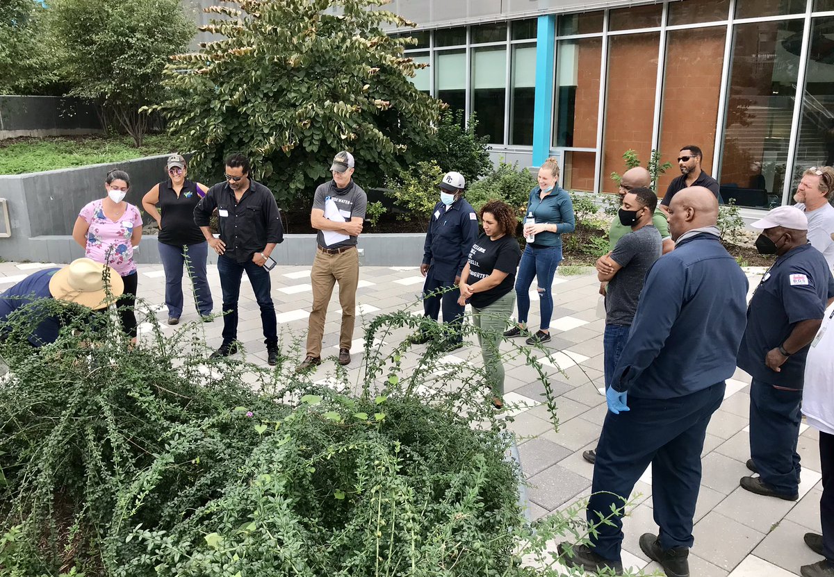 shesashinyotter's tweet image. A little rain can’t keep us away! @ChesapeakeCLC CBLP Crews Training! #bioretention #GI #stormwater #NativePlants #InvasivePlants #SlowItDown #DGS