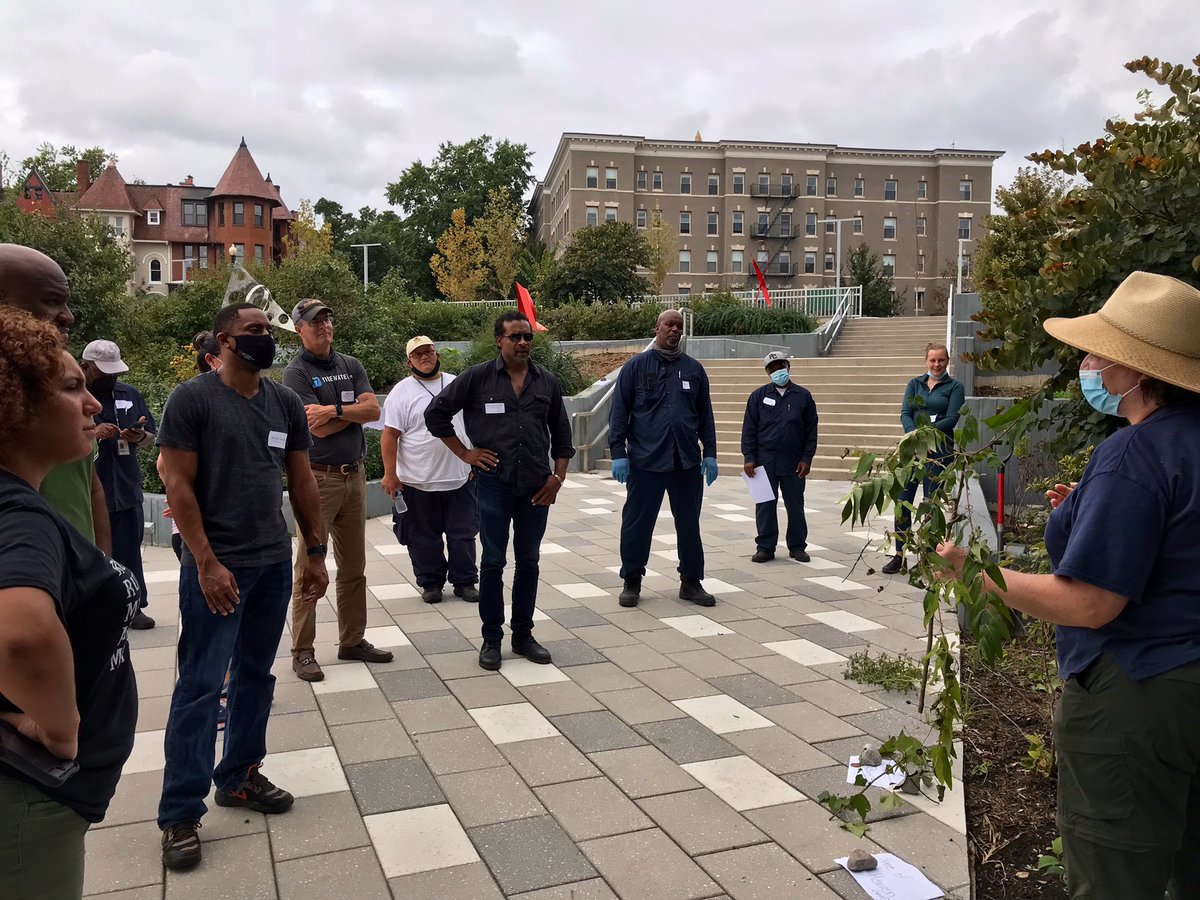 shesashinyotter's tweet image. A little rain can’t keep us away! @ChesapeakeCLC CBLP Crews Training! #bioretention #GI #stormwater #NativePlants #InvasivePlants #SlowItDown #DGS