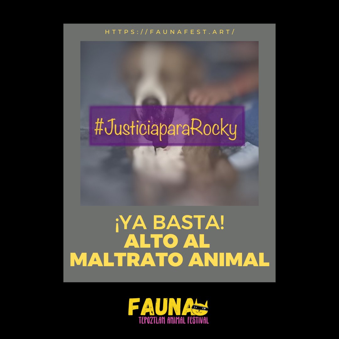 La Fundación Respeto y Defensa Animal (@FRYDApuebla ) inició una campaña para exigir justicia para “Rocky” un perro que fue sacrificado luego de sufrir graves lesiones, pues sus dueños le colocaron 'cuetes' en el hocico.

#AltoalMaltratoAnimal #seressintientes
#JusticiaParaRocky