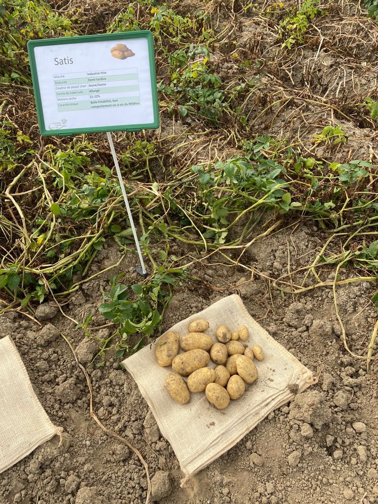 Comptoir du Plant tweet media