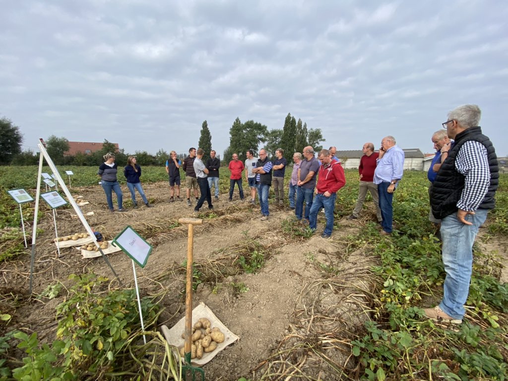 Comptoir du Plant tweet media