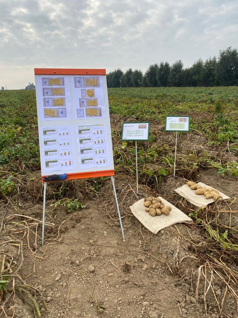 Comptoir du Plant tweet media