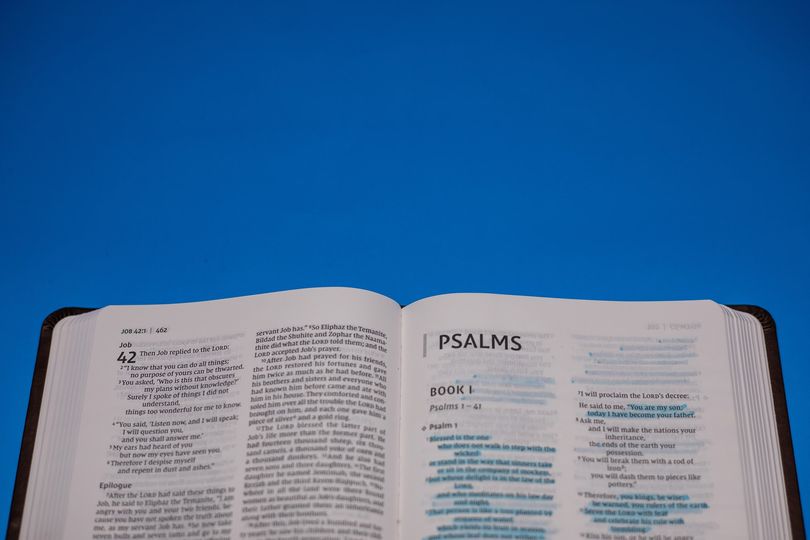 profeivanmoreno's tweet photo. El libro de Salmos, nos permite ver la relación existente entre Dios y el hombre en diversas facetas de la vida. Dentro de tu experiencia como lector de este fascinante libro, ¿Cuál de los Salmos es el que ha llegado a lo más profundo de tu corazón y por qué? 🥰 https://t.co/FafrvEGN55