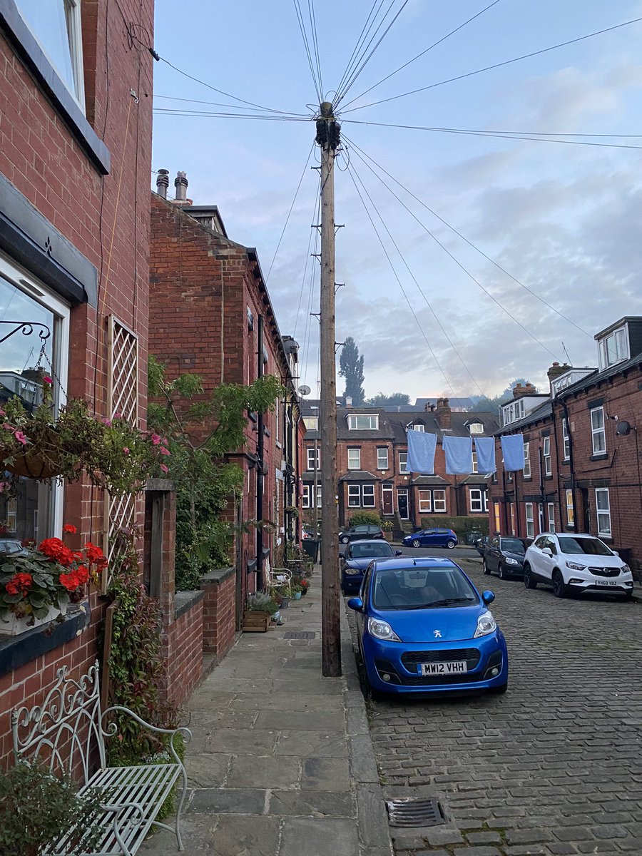 NickRGibbs1's tweet photo. An evening stroll delivered our next candidate. Looking regal chilling on the side of this little cobbled street, top drawer #catsofKirkstall https://t.co/QPNnJocg0X