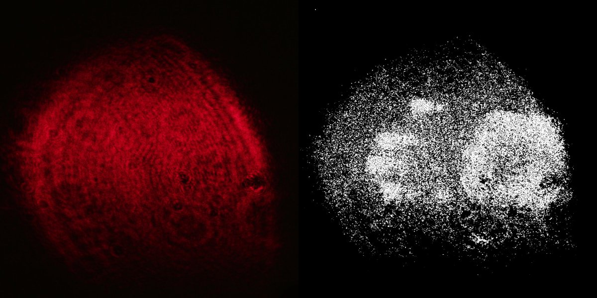 gzunigah's tweet image. DIY Laser Speckle Imaging Uncovers Hidden Details bit.ly/3khQokp #digitalcamerashacks #LaserHacks #interferencepatterns