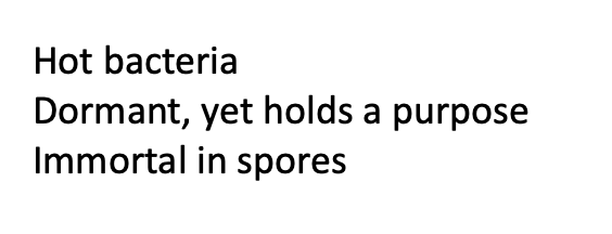 markowenmartin's tweet photo. Happy International Microorganism Day!
Here is a #MicrobialHaiku written by a #Micronaut taking #Bio350 from me this term.
#InternationalMicroorganismDay @univpugetsound @ASMicrobiology https://t.co/sxrpfvdUlr
