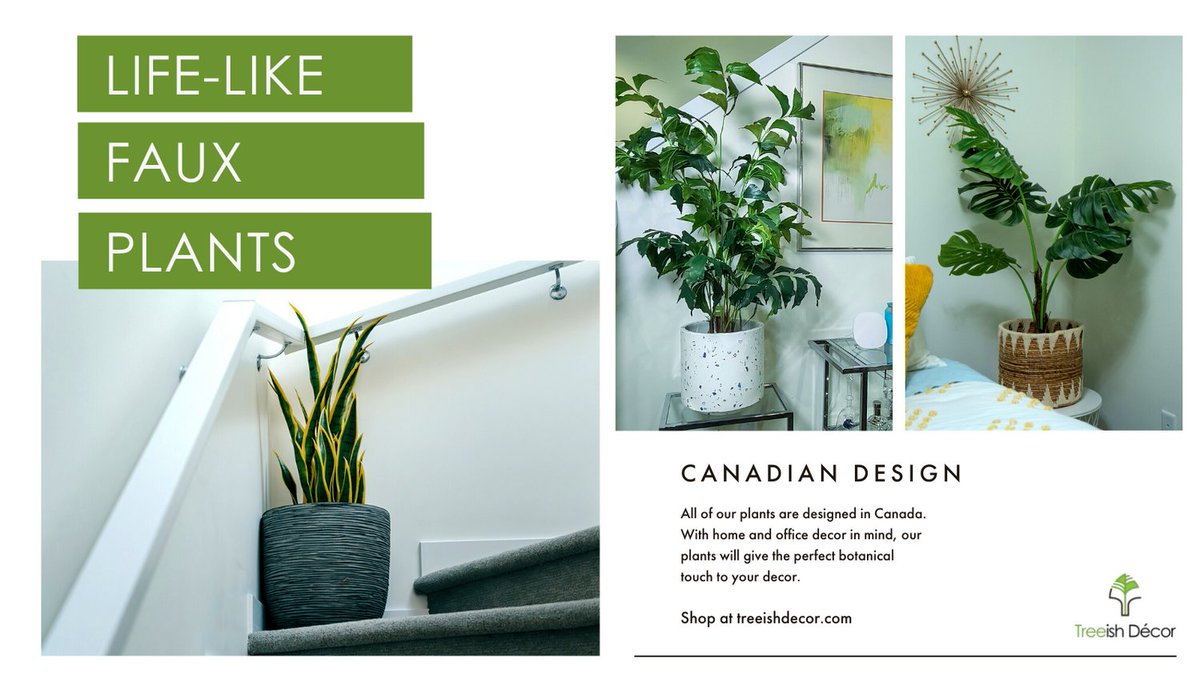 TreeishD's tweet image. Our artificial plants have been designed and created with care and durability in mind, without compromising a realistic look. 
Check our selection on our site, you won’t believe these are not real! 

#TreeishDecor #expertlycrafted #artificialplant #homedecor #yycbusiness