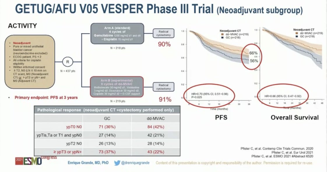 urotoday's tweet photo. #ESMO21 #InvitedDiscussant @drenriquegrande @MDAnderson_ES presents results of the GETUG/AFU #VESPER V05 phase III trial and the phase II trial of pembrolizumab + sEphB4-HSA in #mUC. Written coverage by @jberchuck @DanaFarber on UroToday > https://t.co/BUwoq2ND2D @myESMO https://t.co/y0IvK4yINH