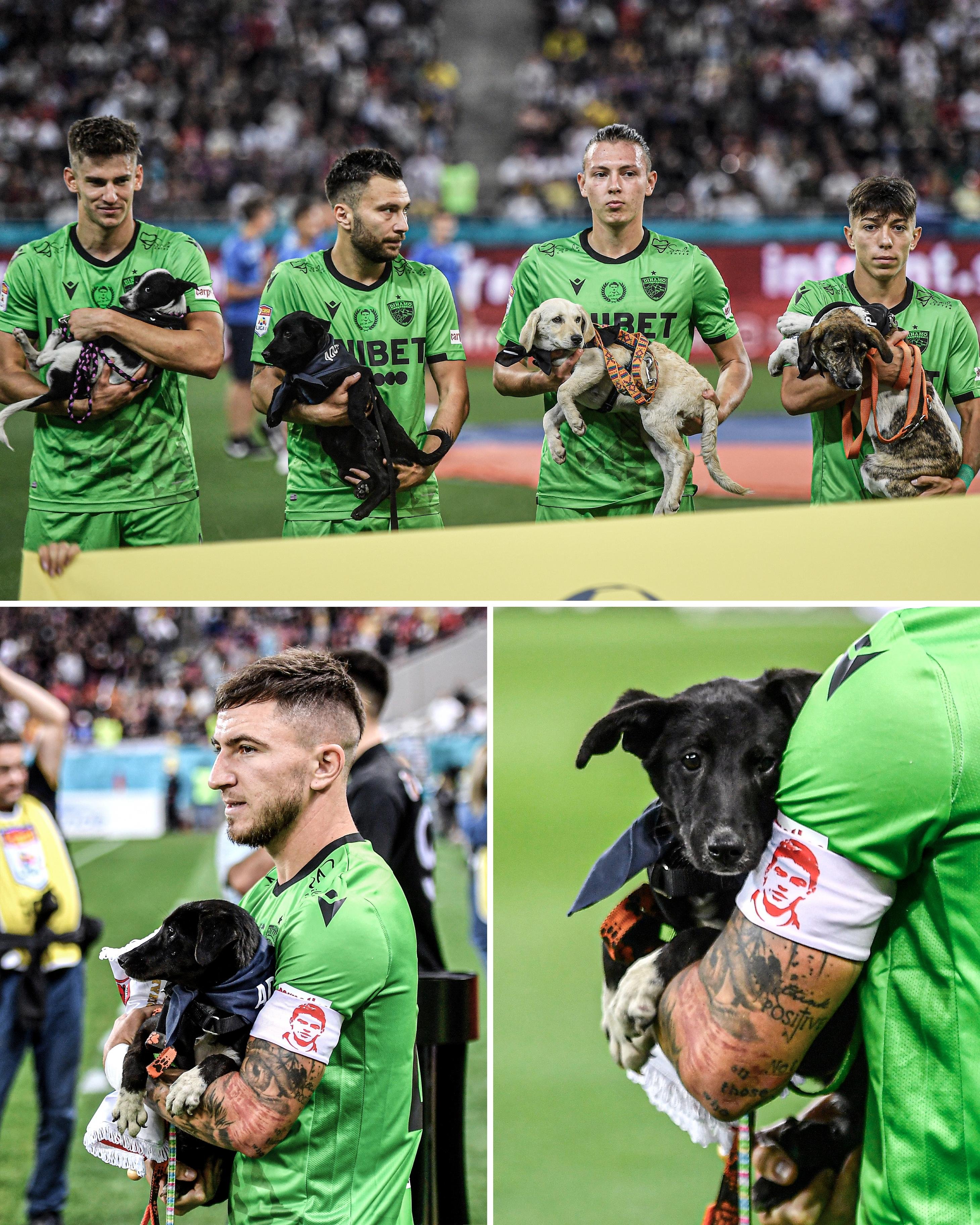 Montagem com três fotos exibindo dos jogadores do Dínamo exibindo os cachorros na primeira, um cão no colo na segunda, e um close ainda mais próximo do cão na terceira. Todos os cachorrinhos usam lenços.