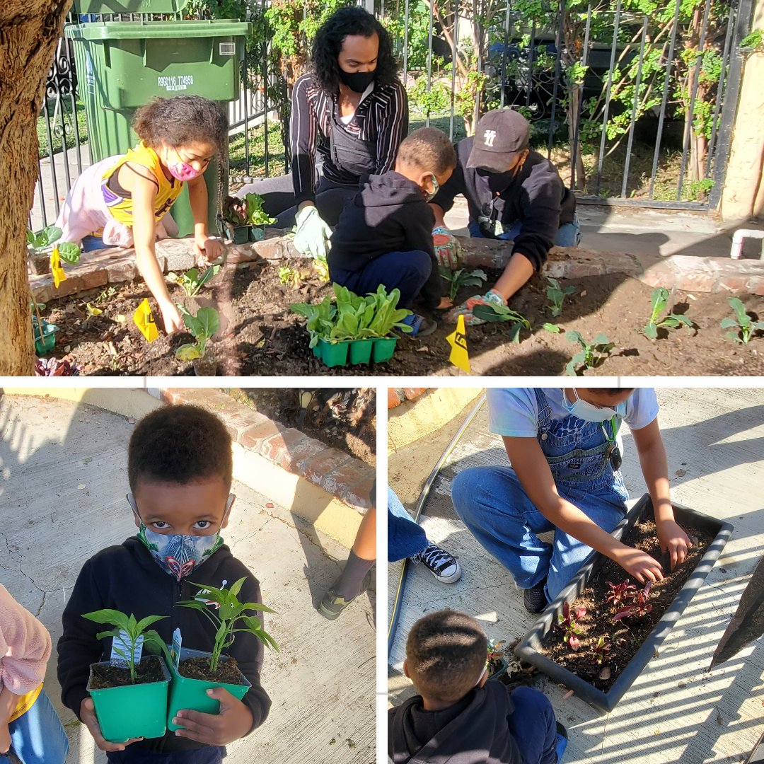 Essie Justice Group tweet media