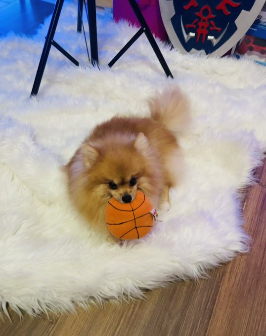 Watch 𒀭WinDygirk☀️'s leaked NSFW photo on TwXstars