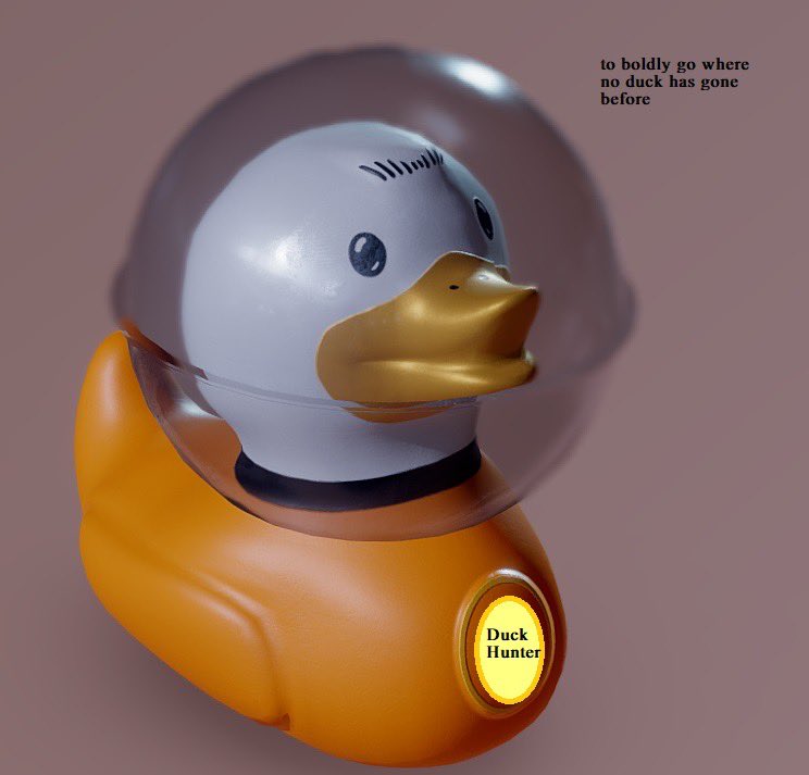 Yaeltova's tweet photo. @eggsaggerated @wavesducks @AdesiviNo @signArtApp "Boldly go where no duck has gone before!" https://t.co/oSU63yV9po