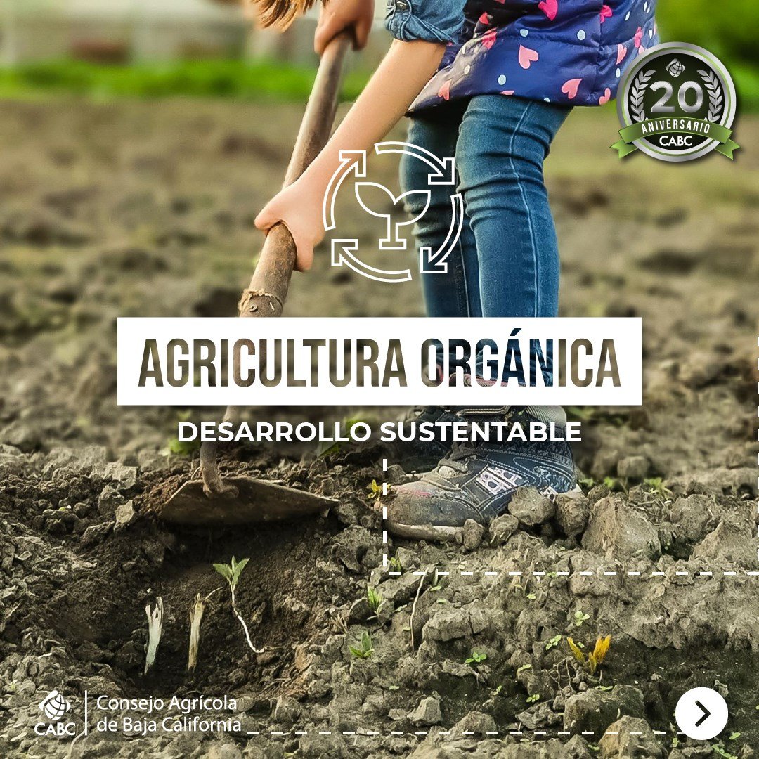 Consejo Agrícola de Baja California tweet media