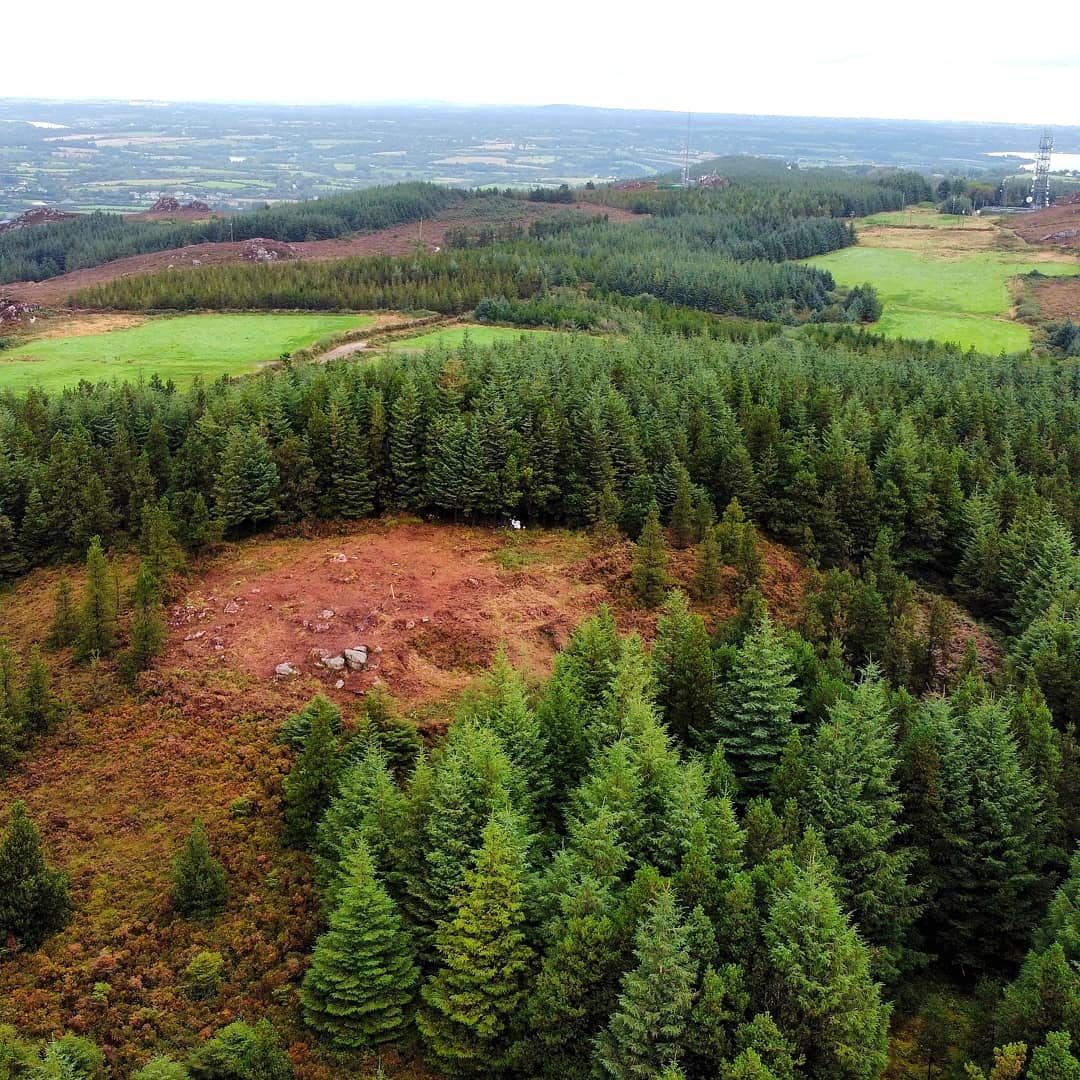 Barntown Heritage Group tweet media