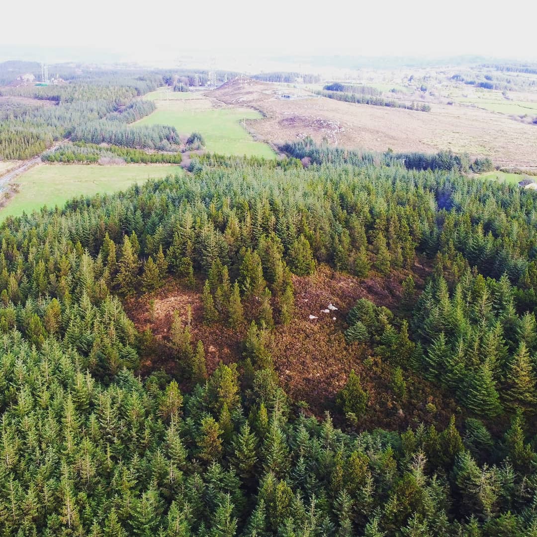 Barntown Heritage Group tweet media