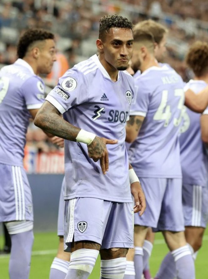 Leeds United Fan Page tweet media